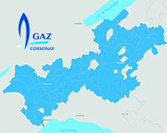 Réseau de Cosvegaz